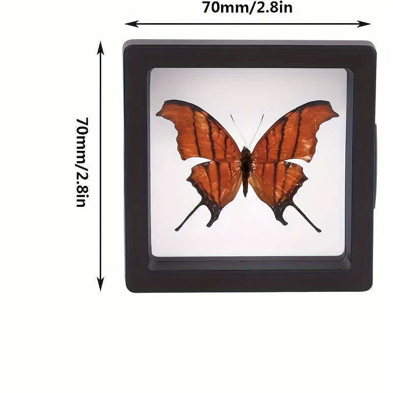 [Plastic Display Box] 30pcs Plastic 3D Floating Display Box | Transparent, Dust-Proof, with Elastic Film | for Jewelry Storage and Gift Packaging, for Necklaces, Bracelets, Rings, Coins, Earrings, Pins, Retail and Personal Use